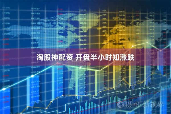 淘股神配资 开盘半小时知涨跌