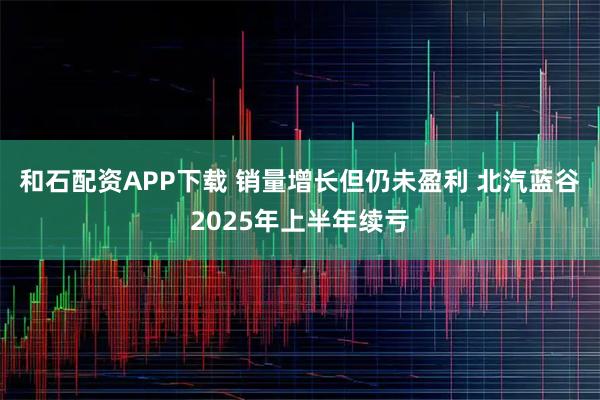 和石配资APP下载 销量增长但仍未盈利 北汽蓝谷2025年上半年续亏